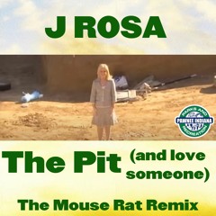 The Pit (And Love Someone) - Mouse Rat The Remixxx