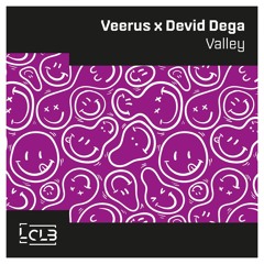 Veerus x Devid Dega - Valley (Original Mix)