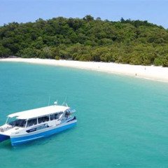 Best Whitsunday Bullet Day Trip Whitehaven Beach And Snorkelling Tours Review