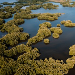 Melodic House & Afro House - DJ Set (Keinemusik, Maz, Fahlberg, Adriatique, Alex Wann)