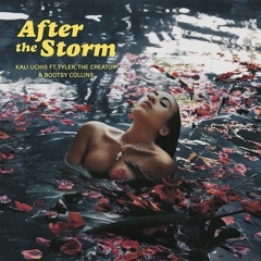 Kali Uchis - After The Storm (Instrumental)