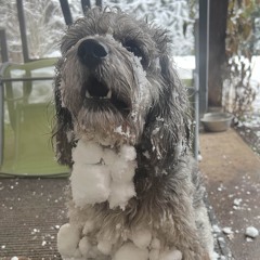 UDK.me - Everybody's Cute