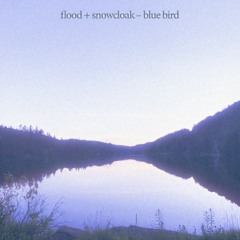 Flood + Snowcloak - blue bird