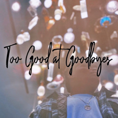 Too Good at Goodbyes (cvr)  (ft. & prod. 691.ace)