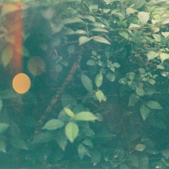 Fluiditity Set- TIGEREYES