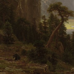 Ambedo