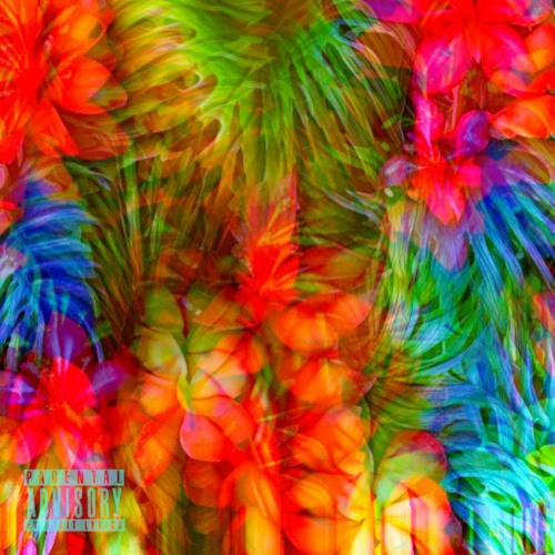 Discovery Mode 2024 | Shape Records