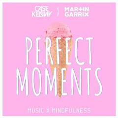 Martin Garrix - Perfect Moments [ Mix Only ]