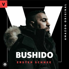 Bushido- Erster Schnee