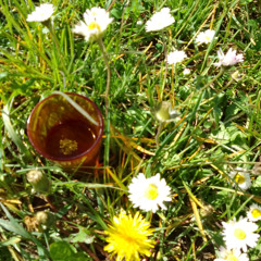 Le bien et le mal - Cover 2