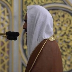 الشيخ أحمد بن طالب - سورة الأحزاب