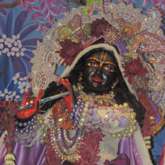 Visvambhar ~ Festival of the Holy Name {Day 2} ~ 1.27.21