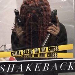 Luh30 ShakeBack