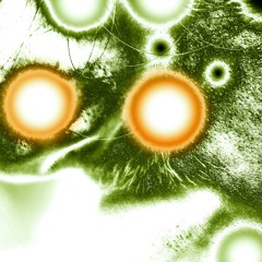 Trämannen - Supergalen