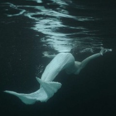 Song To The Siren
