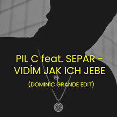PIL C feat. SEPAR - VIDÍM JAK ICH JEBE (DOMINIC GRANDE EDIT)