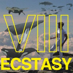 Ecstasy VIII