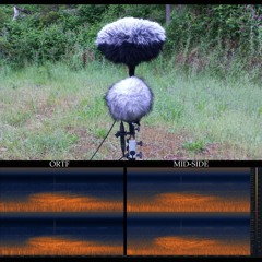 ORTF and Mid-Side (Parallel Recordings). 1. Boobook and Jet.