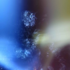 ..>songs_i_really*_like