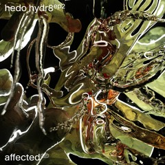 Hedo Hydr8 - Affinity Politics (Merca Bae Remix)