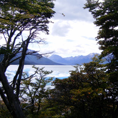 RAMZY 15 CLIPS DE 2025