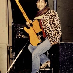 Mexican red knee tarantula