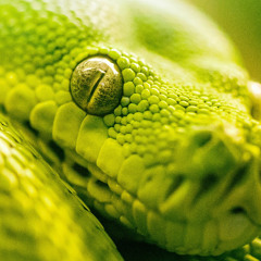 2 get on x All the time