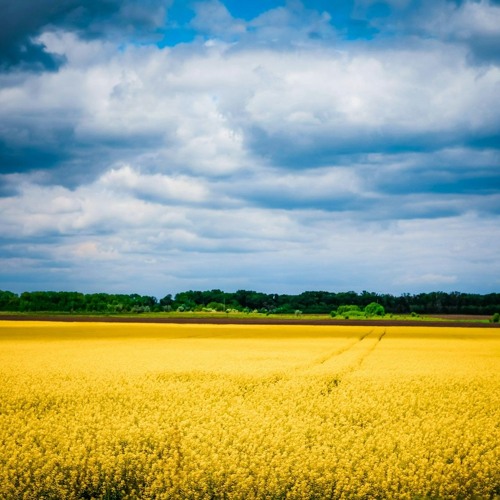 Lament for Ukraine (original song) by-