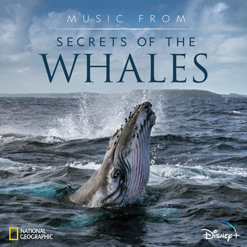 Family Secrets (From "Secrets of the Whales"/Score)