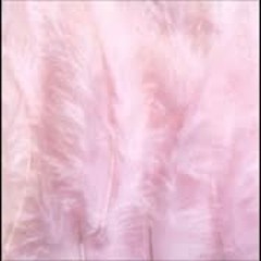 Little Cloud - Certain Secrets