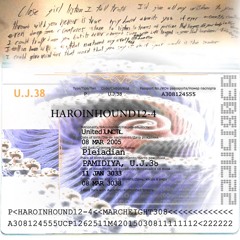 ☆HH☆12-4(PSYCHEDELICENDEAVORSNEVEREND)[PROD.HAROINHOUND12-4]