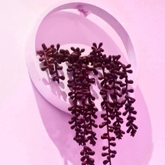 01010101 (demo)
