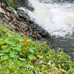 holding on (demo session)