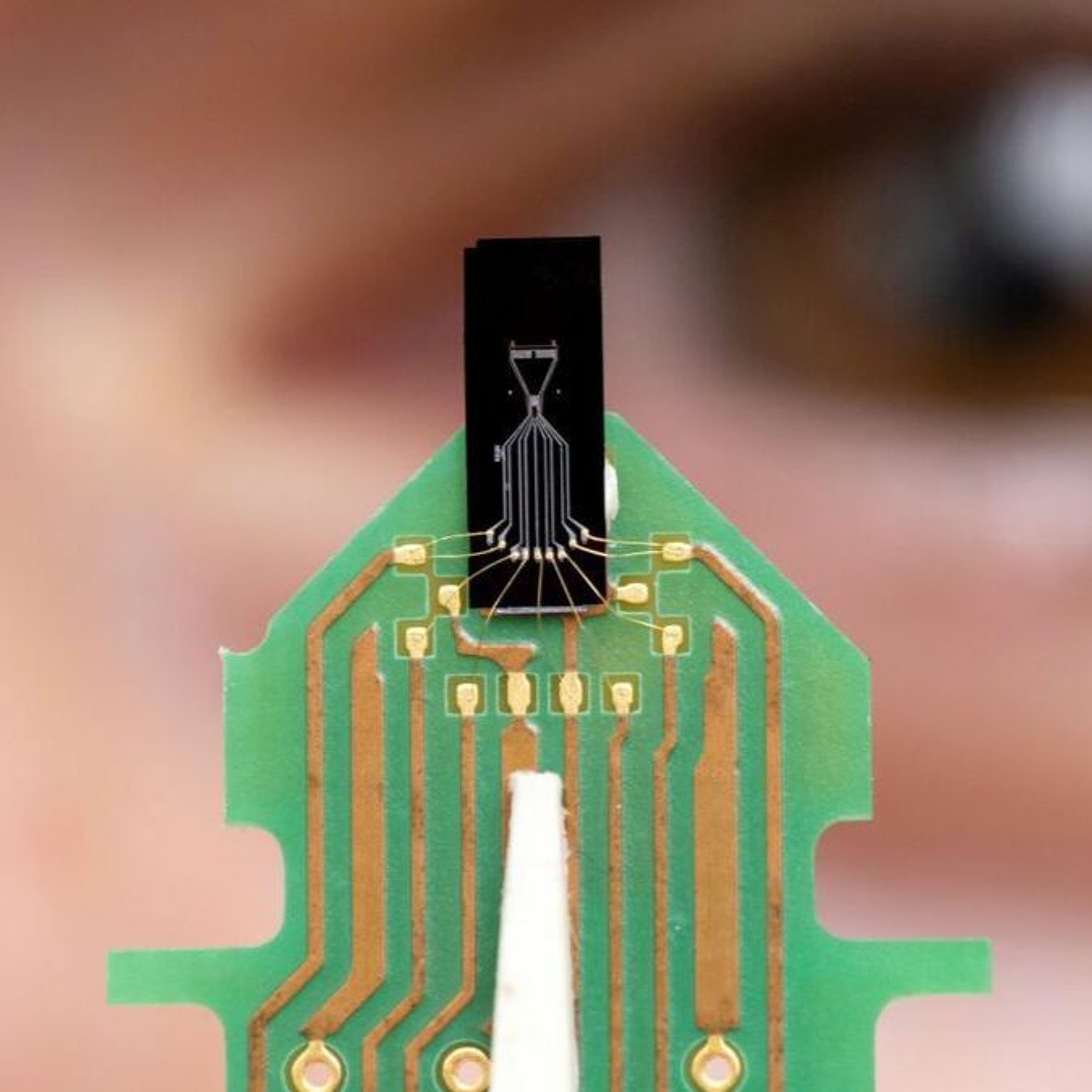 Karlsruher Institut für Technologie ( KIT)