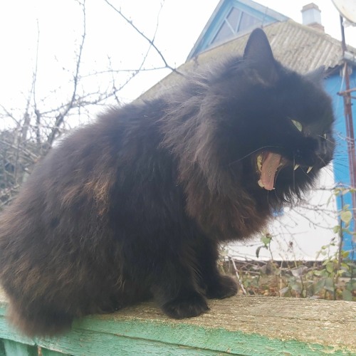 По Глазам Слава Марлов SLAVA MARLOV kkcut