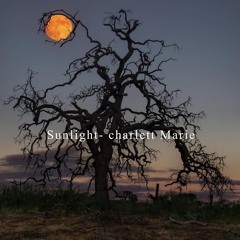 Sunlight - charlett marie