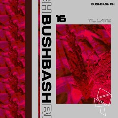 BUSHBASH FM__16 // TIL LATE