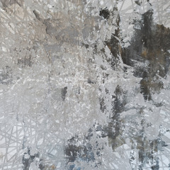 𝑷𝒓𝒆𝒎𝒊𝒆𝒓𝒆: Xanexx - Dispersed Silhouettes [SPV013]