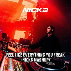 Sixthema, Fatrik - Feel Like Everything You Freak (NickB Mashup)[Free Download]