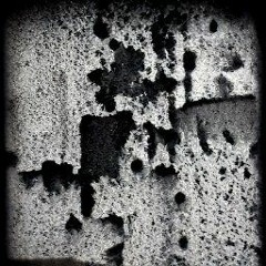 Bleak