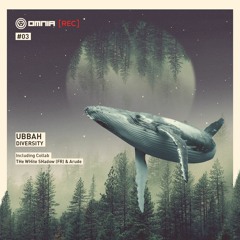 Ubbah & The White Shadow FR - Shakram (Original Mix)