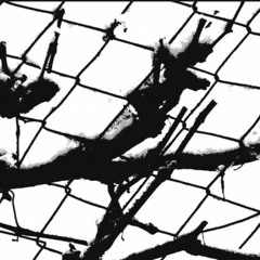 Frostbite in İstanbul