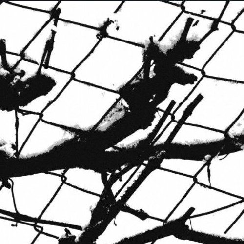 Frostbite in İstanbul