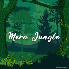 FLUST3R - Mera Jungle [Official Audio]