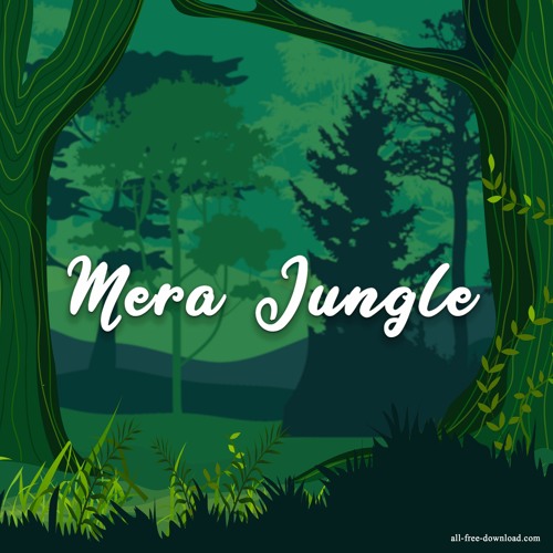 FLUST3R - Mera Jungle [Official Audio]