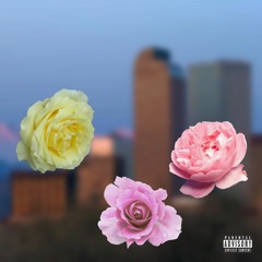 COMPARE ME - @spbaba411