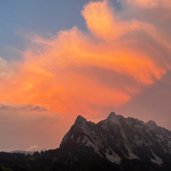 Tinnitussi live @Mountainlove 2025