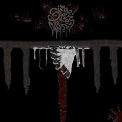 Warpipe-Simple Noises