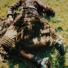 I want to lay in the grass (instrumental)