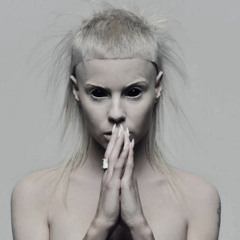 PITBULL TERRIER, Die Antwoord (techno remix by alix)